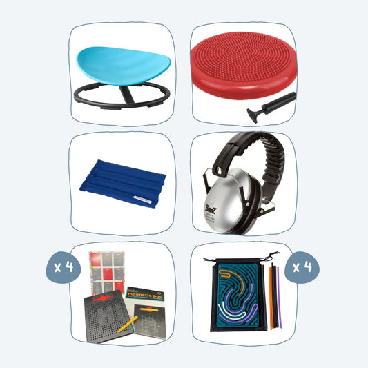 Contents of the Early Childhood Sensory Resources Kit