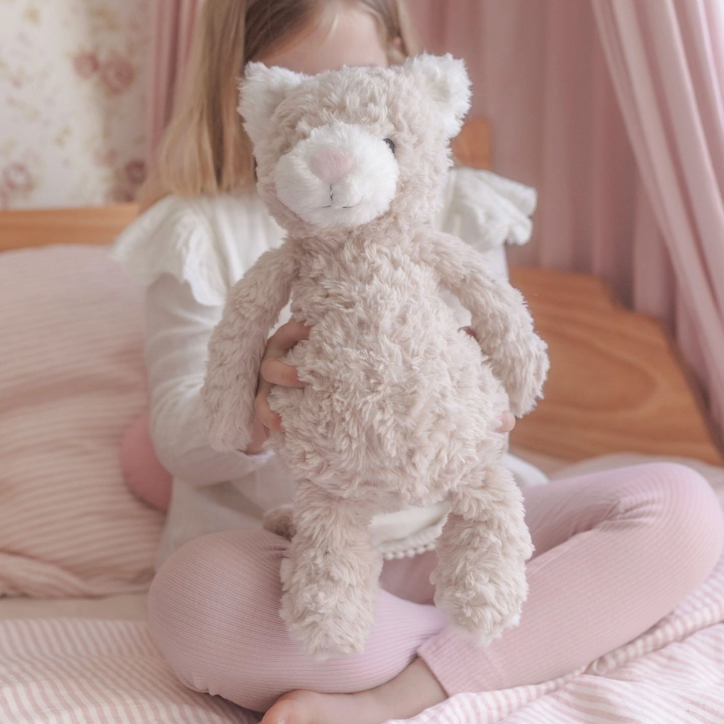 Pickles the Weighted Cat