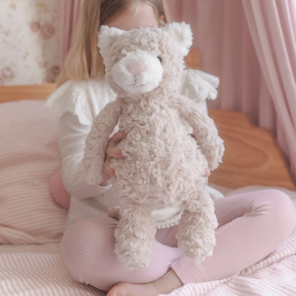 Pickles the Weighted Cat