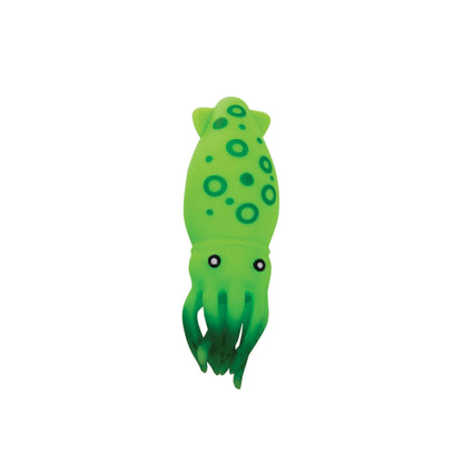 Squishy Squid