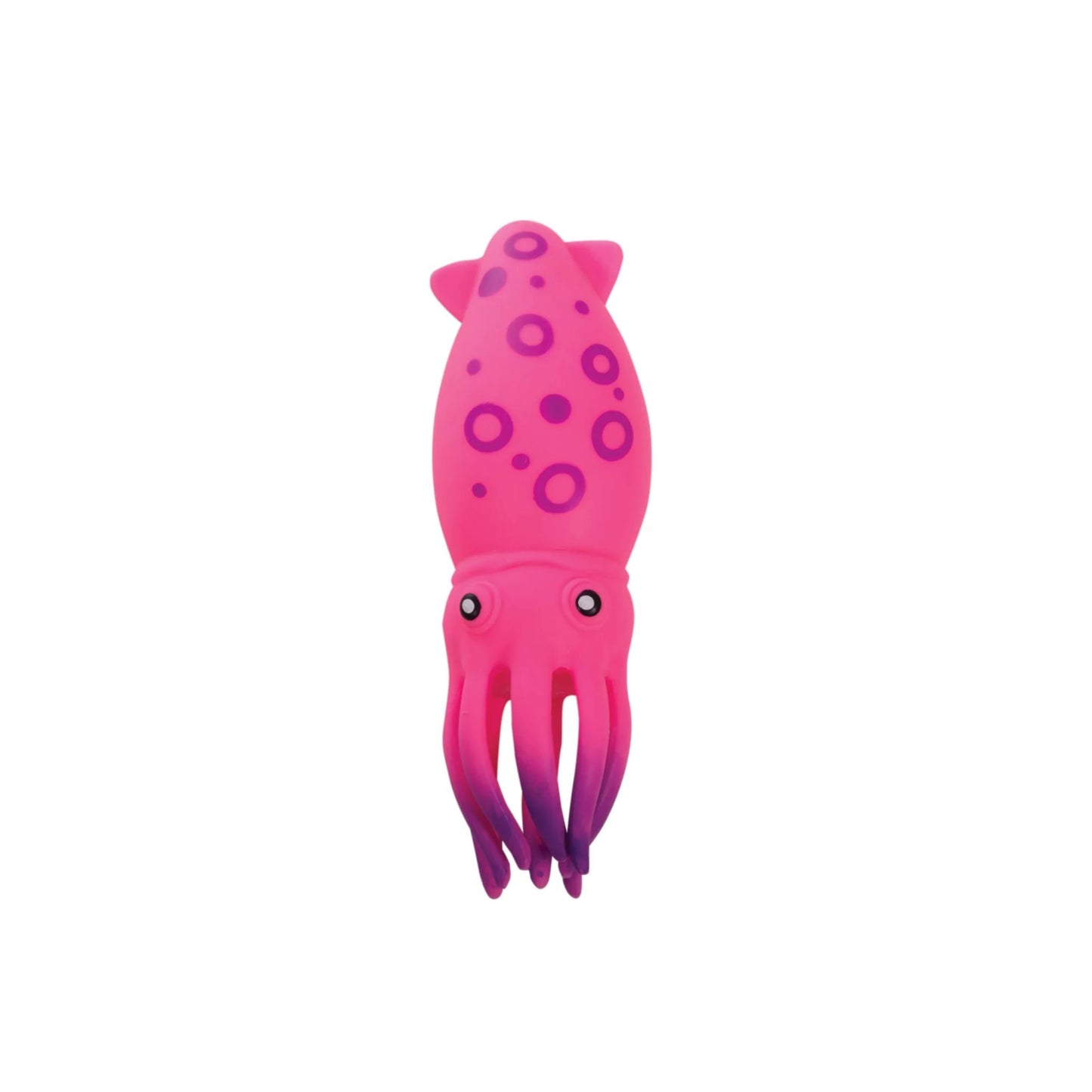Squishy Squid